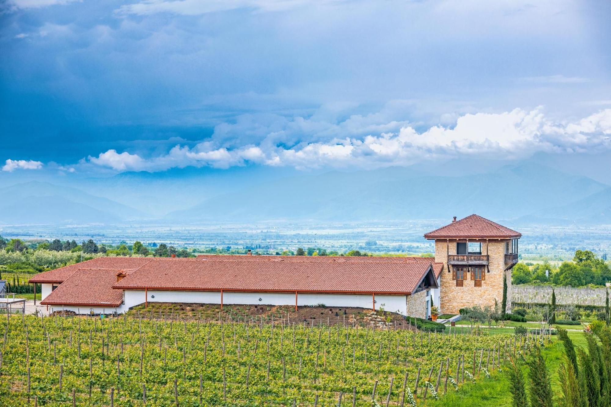 Chateau Mosmieri Hotel & Winery Telawi Exterior foto