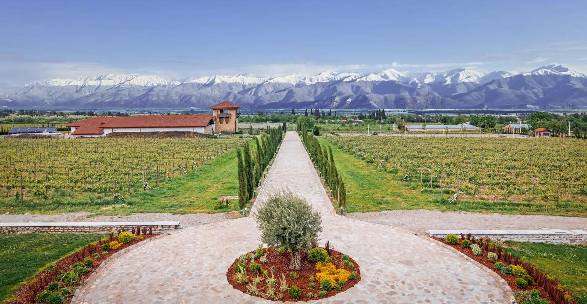 Chateau Mosmieri Hotel & Winery Telawi Exterior foto